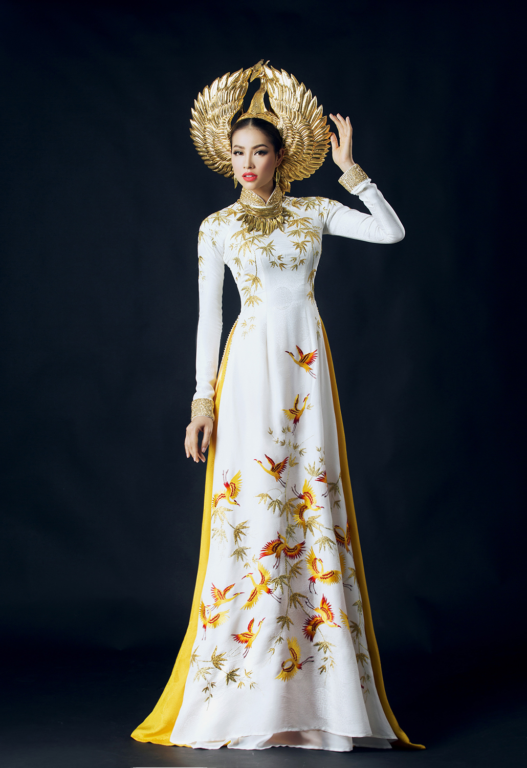 Customized aodai vietnam cloth - огляд і ціна Ao Dai Vietnam Dress